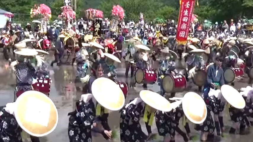 taue240604.jpg