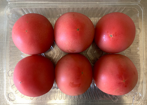 tomato240921.jpg