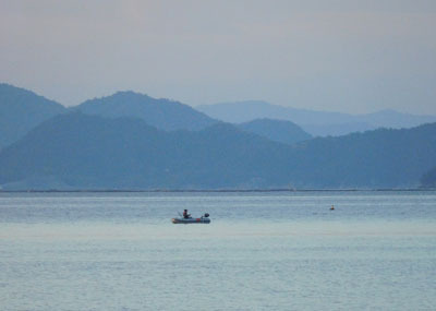 umi3857.jpg