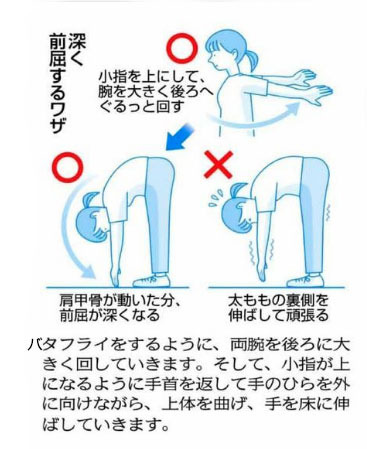zenkutu.jpg